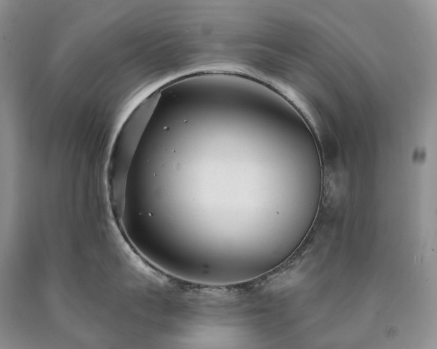 X0000090460959200707201331
