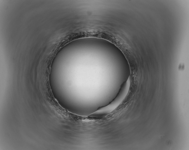 X0000090460961200707201331