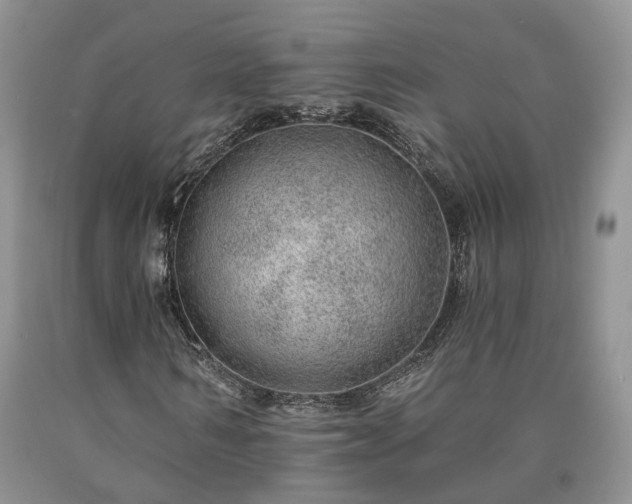X0000090460962200707201331