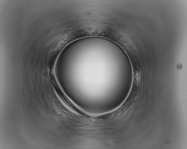 X0000090460963200707201331