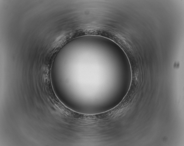 X0000090460964200707201331