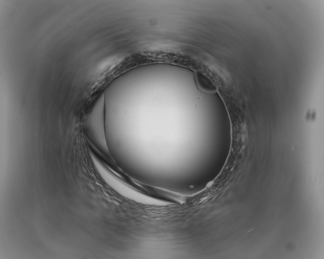 X0000090460965200707201331