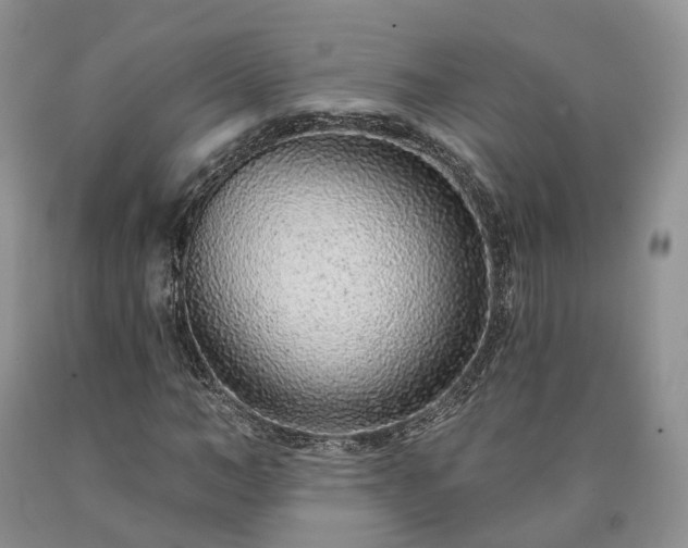 X0000090460966200707201331