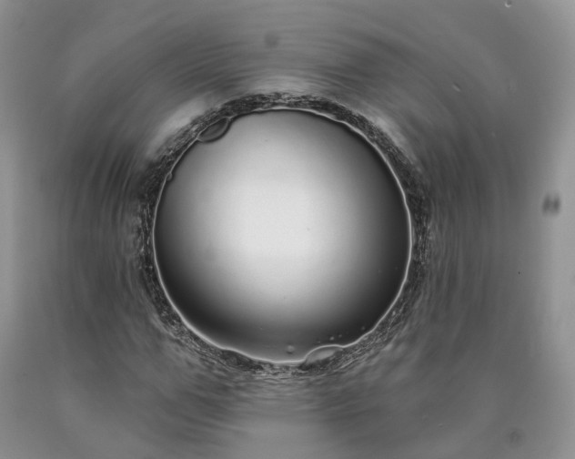 X0000090460967200707201331