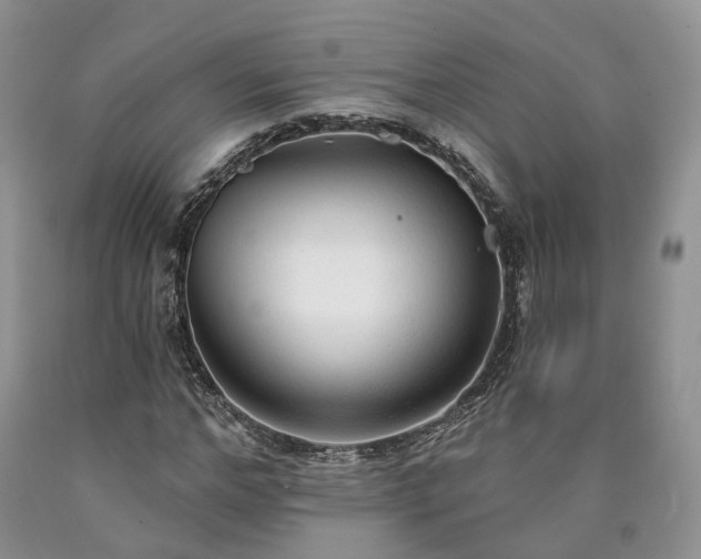 X0000090460968200707201331