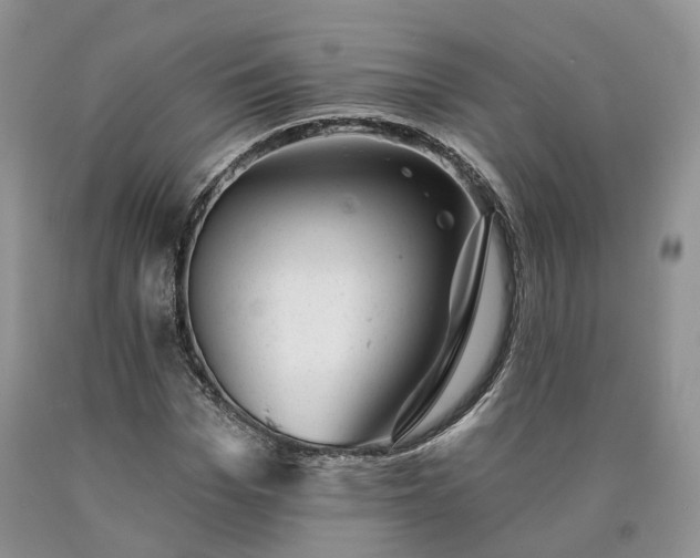 X0000090460969200707201331