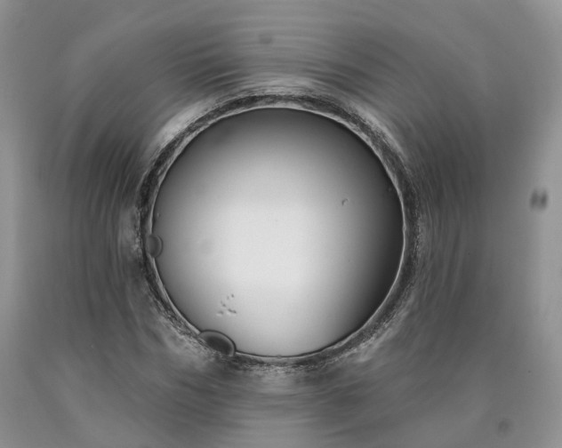 X0000090460970200707201331