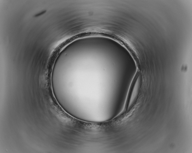 X0000090460971200707201331