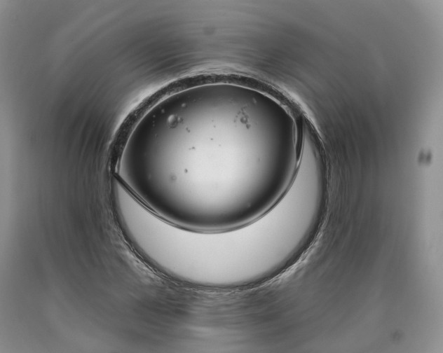 X0000090460973200707201331
