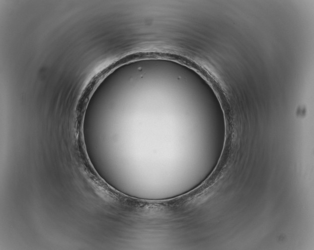 X0000090460974200707201331