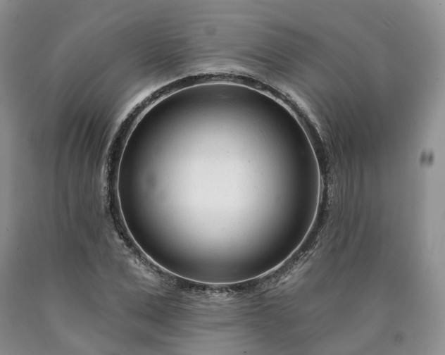 X0000090460975200707201331