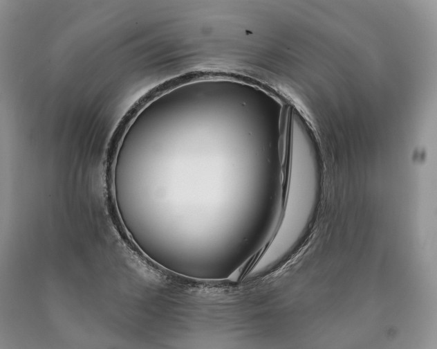 X0000090460976200707201331