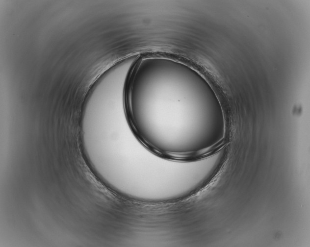 X0000090460977200707201331