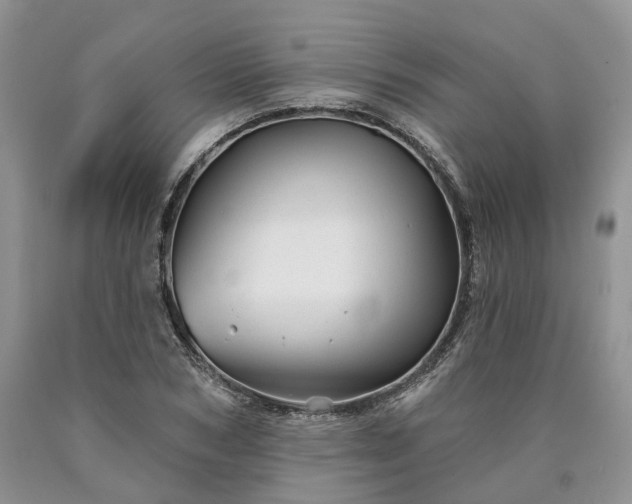 X0000090460978200707201331