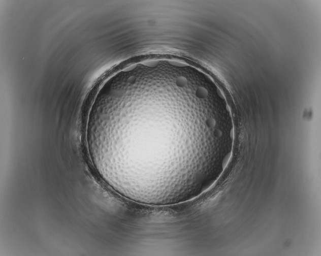 X0000090460979200707201331