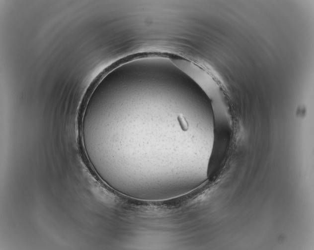 X0000090460980200707201331