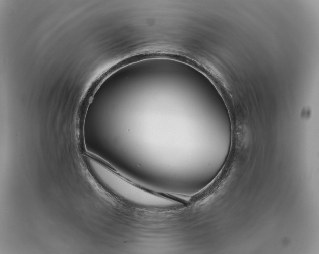 X0000090460981200707201331