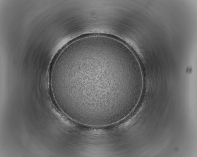 X0000090460982200707201331