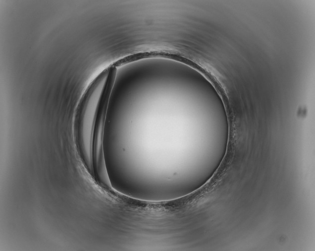 X0000090460983200707201331