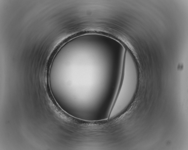 X0000090460984200707201330