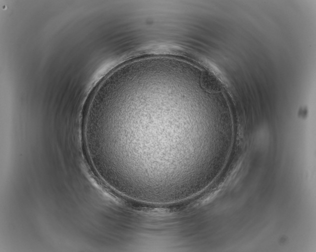 X0000090460986200707201330