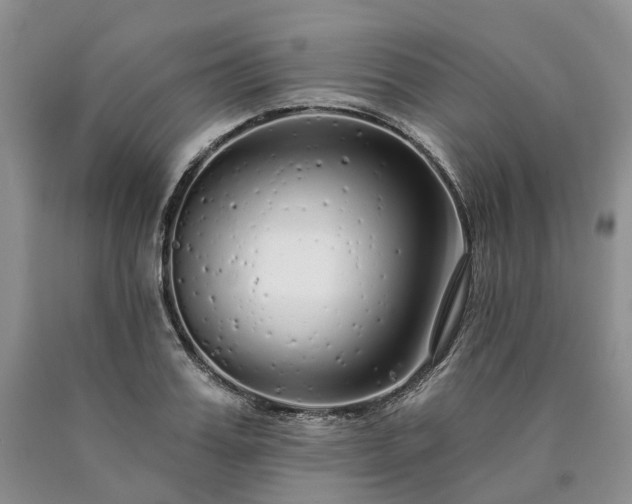 X0000090460987200707201330