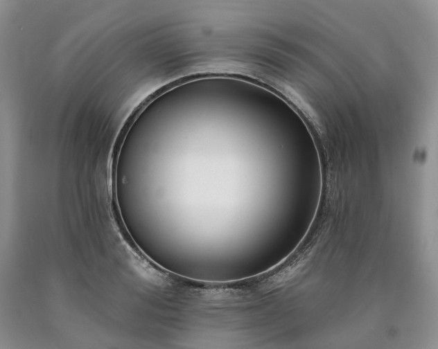 X0000090460988200707201330