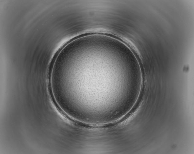 X0000090460989200707201330