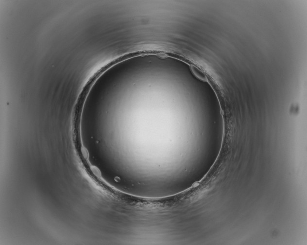 X0000090460991200707201330