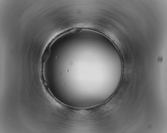 X0000090460992200707201330