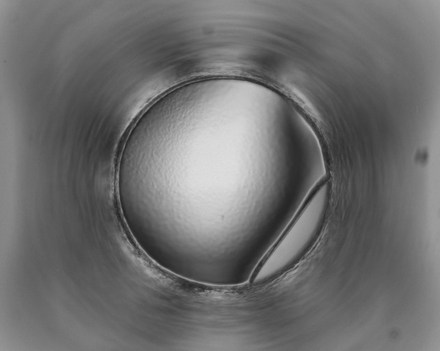 X0000090460994200707201330