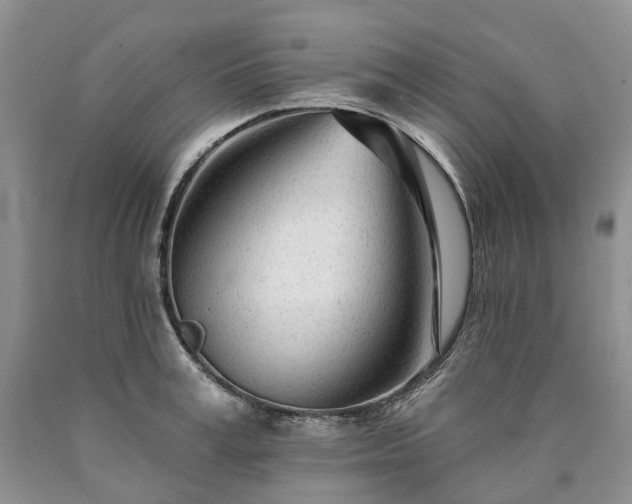 X0000090460995200707201330