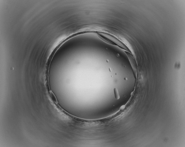 X0000090460997200707201330