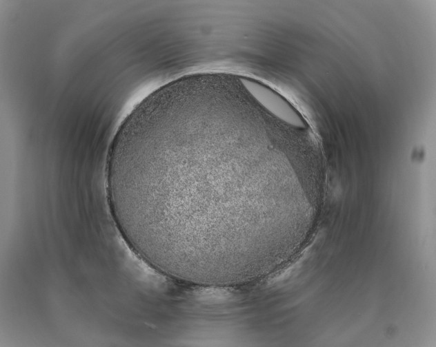 X0000090460998200707201330