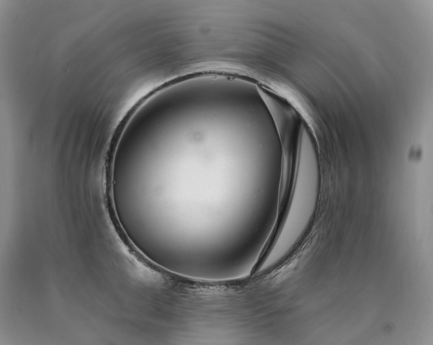 X0000090460999200707201330