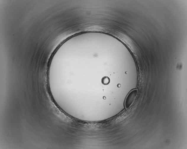 X0000090461000200707201330