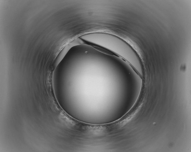 X0000090461001200707201330
