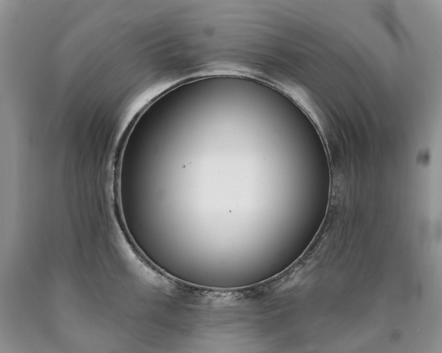 X0000090461003200707201330