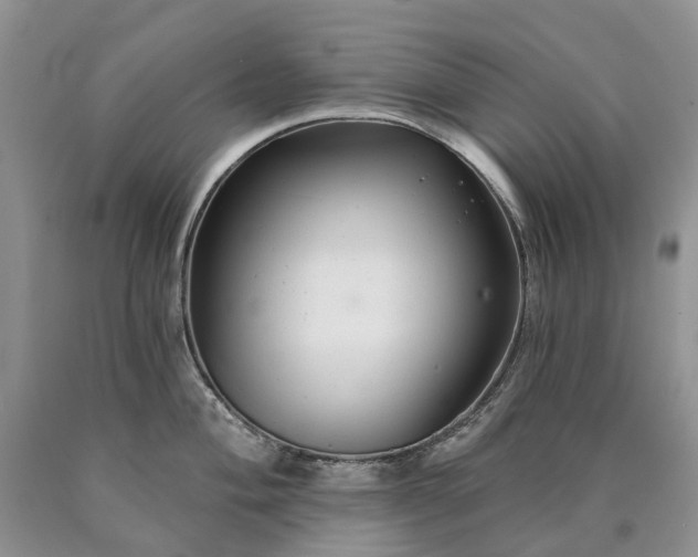 X0000090461004200707201330