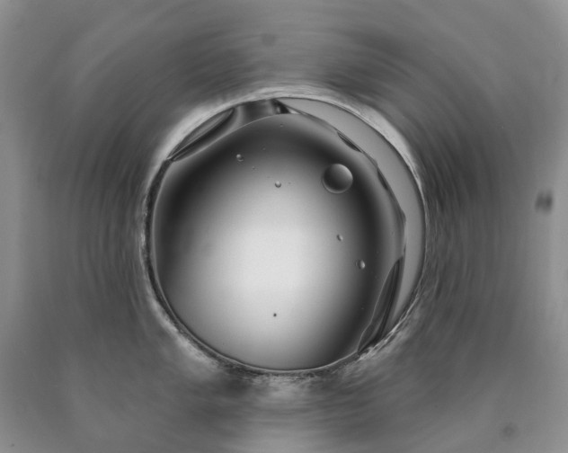 X0000090461005200707201330