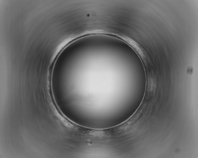 X0000090461006200707201330