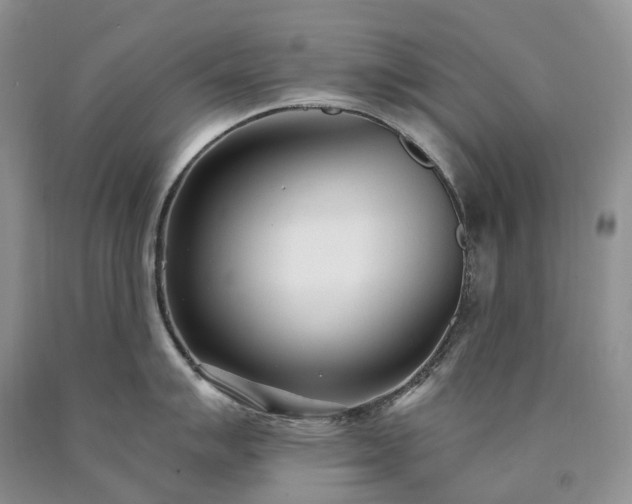 X0000090461007200707201330