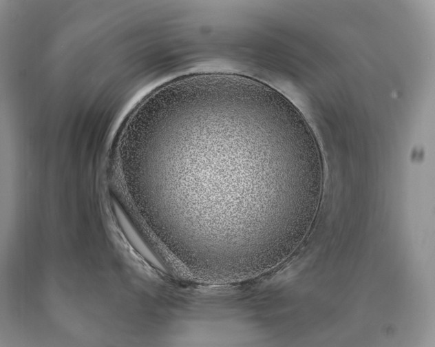 X0000090461008200707201330