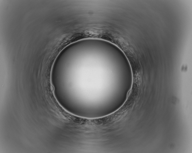X0000090461009200707201330
