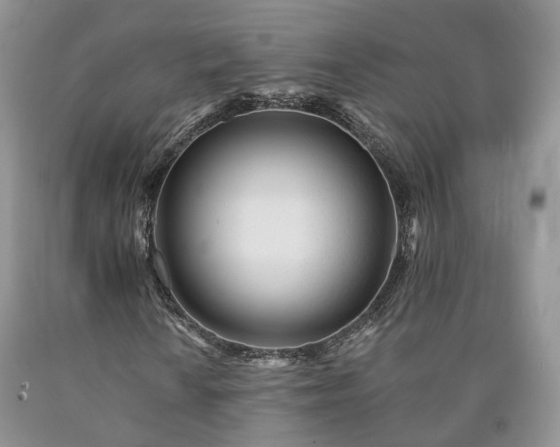 X0000090461010200707201330