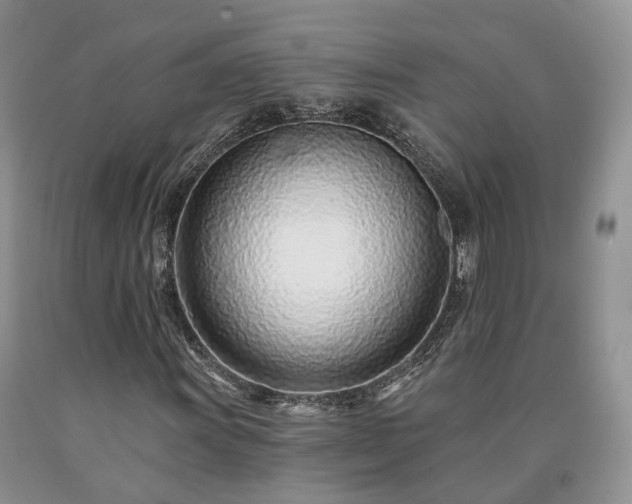 X0000090461011200707201330