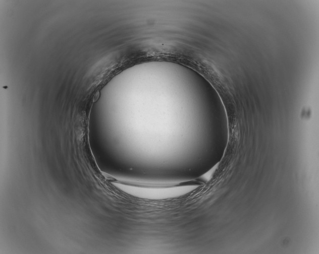 X0000090461012200707201330