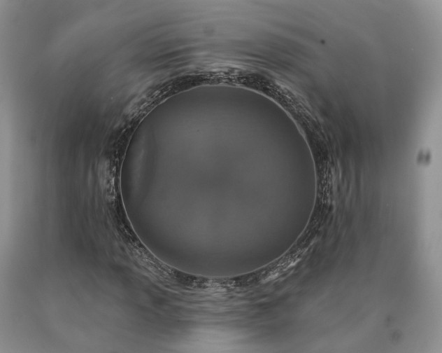 X0000090461013200707201330