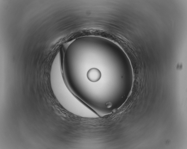 X0000090461014200707201330