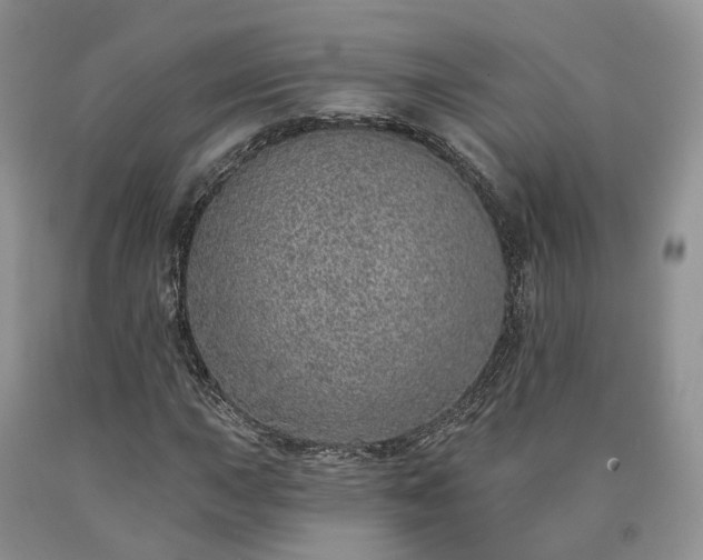 X0000090461015200707201330
